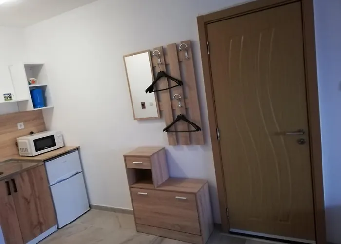 студио ралица *